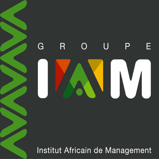 Institut Africain de Management - IAM