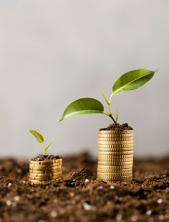 Administration & démarches