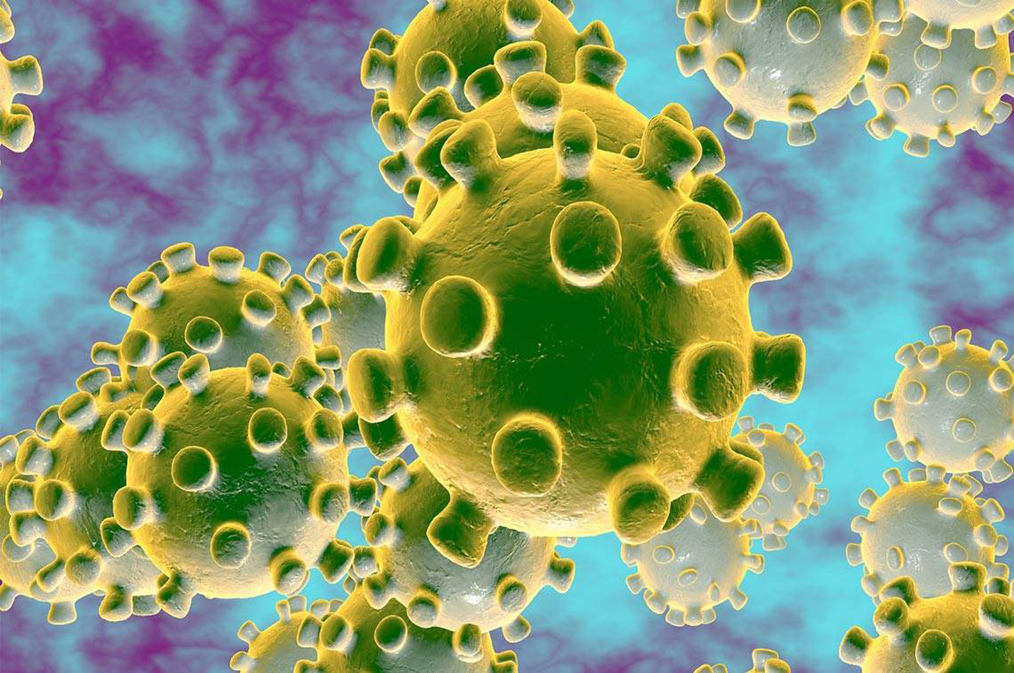Coronavirus (COVID-19) : quelles différences entre l’épidémie et la pandémie ?