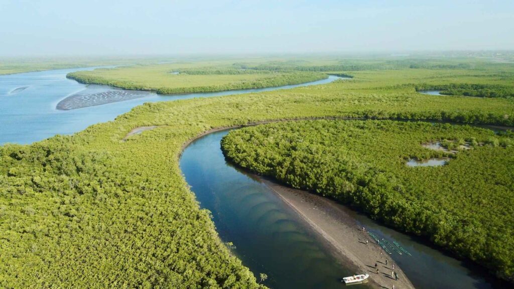 Delta du Sine-Saloum : Un site naturel exceptionnel avec des mangroves, îles et oiseaux.