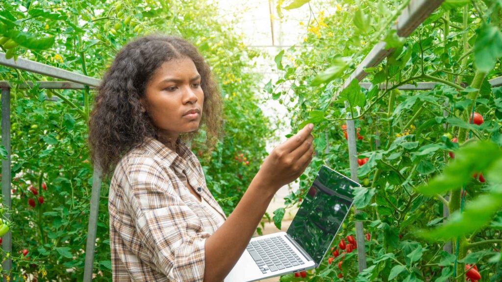 L’impact des technologies agricoles sur la sécurité alimentaire en Afrique de l’Ouest