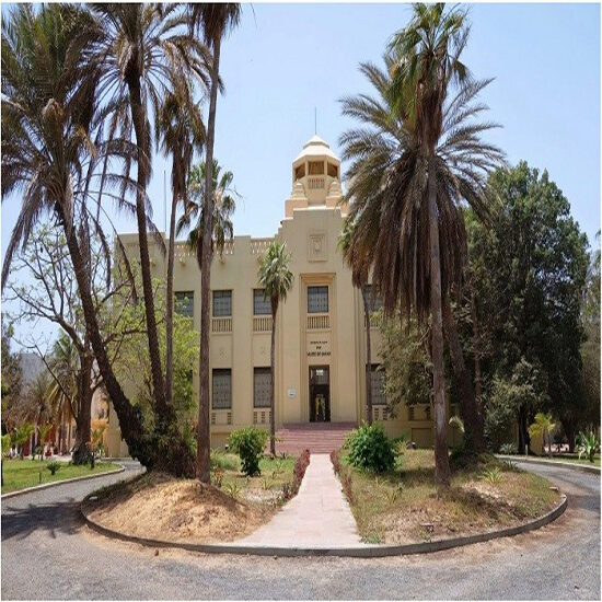Le musée Théodore-Monod d'art africain