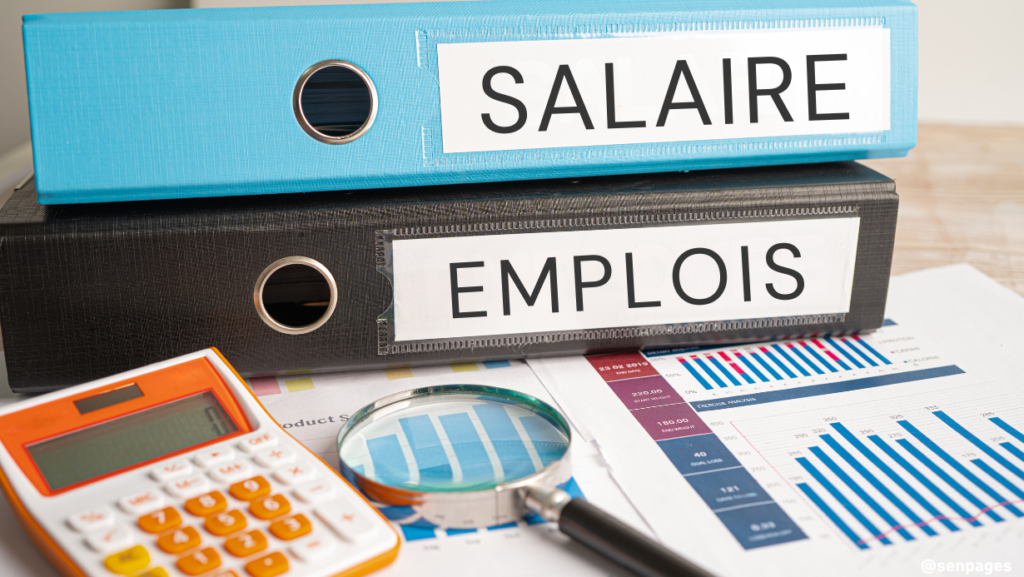 Le Salaire et son Fonctionnement au Sénégal : Une Analyse Statistique