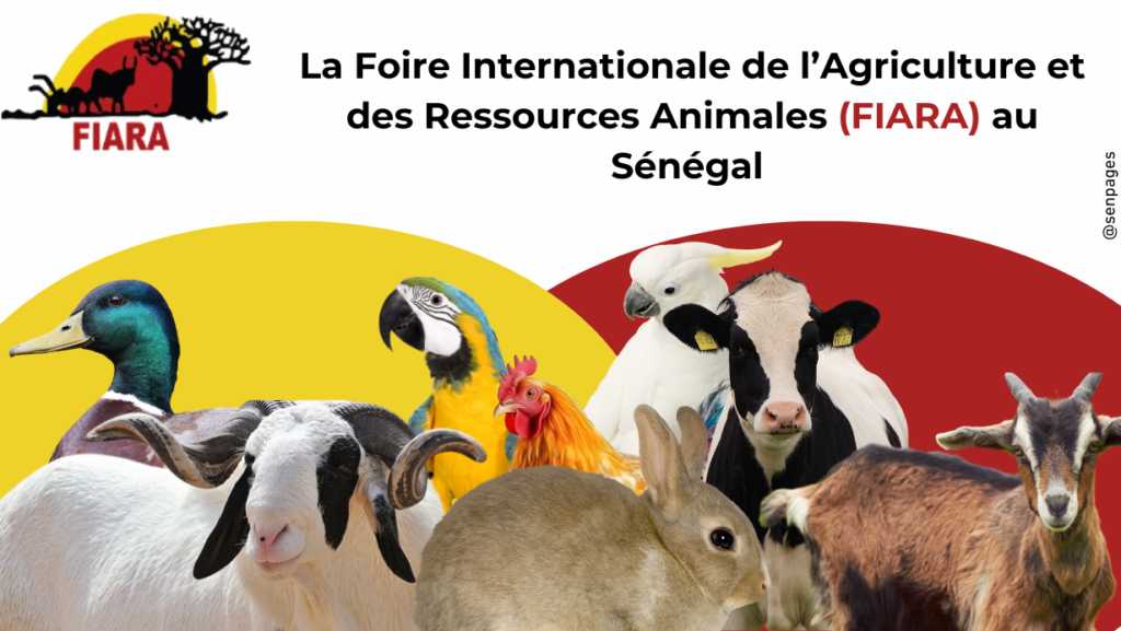 La Foire Internationale de l’Agriculture et des Ressources Animales (FIARA) au Sénégal : Un Rendez-Vous Incontournable